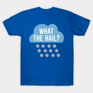 What The Hail? T-Shirt